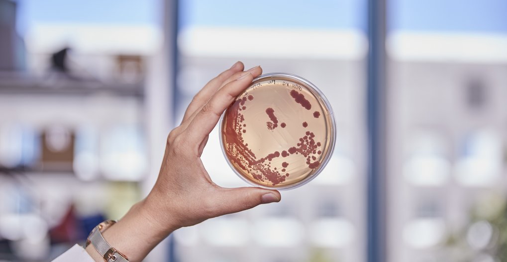 Microbial research in the spotlight